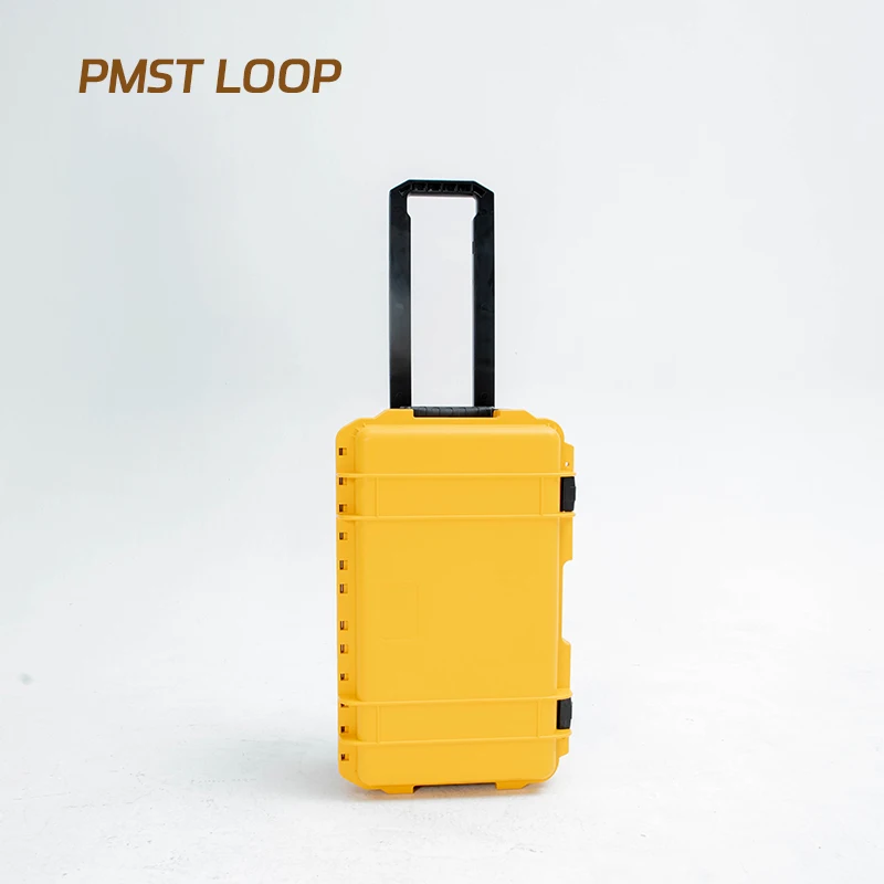 Newest Pmst Loop Pro Pulsed Electro Magnetic Field Pemf Therapy Device