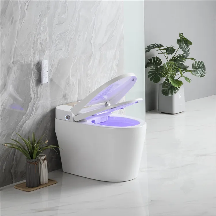 Modern 220v american standard  wc auto cleaning automatic flush water closet one piece intelligent smart toilet