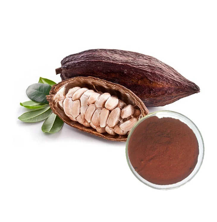 Factory supply high Purity Theobroma 100% Cacao Raw Cocoa Powder for health food