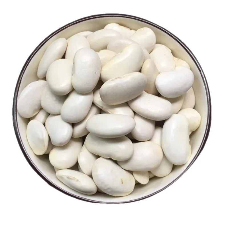 Kidney Beans New Crop Organic White Kidney Bean for Exporting