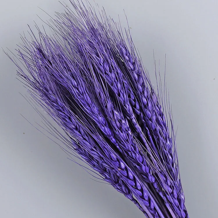 Hot sale 100stems Dried Wheat Stalks for Decorating Wedding Table Pampas Grass Wheat Dried Flowers