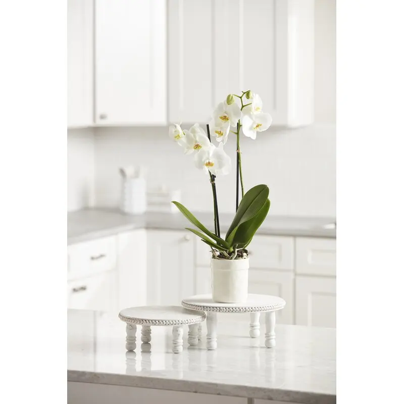 Wooden Table Container  Wooden Decor Box For Plant  Coffee Table Pedestal  Tray