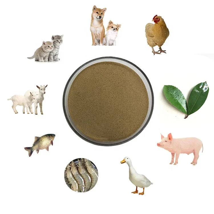 /Agriculture fertilizers Amino Acid leaf fertilizer Factory supply bulk bacillus subtilis powder food bacillus subtilis