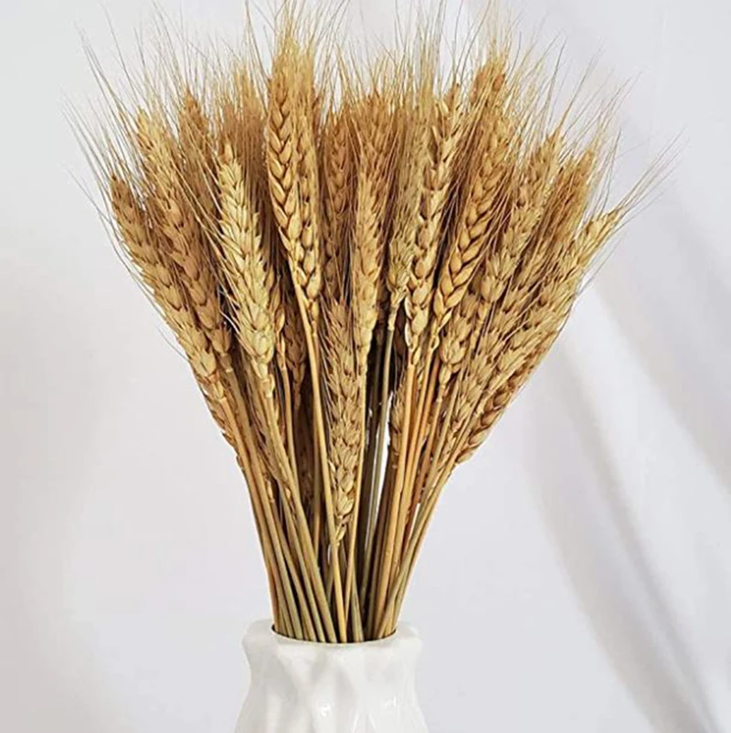 Dried Flowers Natural Wheat Straw Colorful Simulation Flower For Home Dining Art Wedding