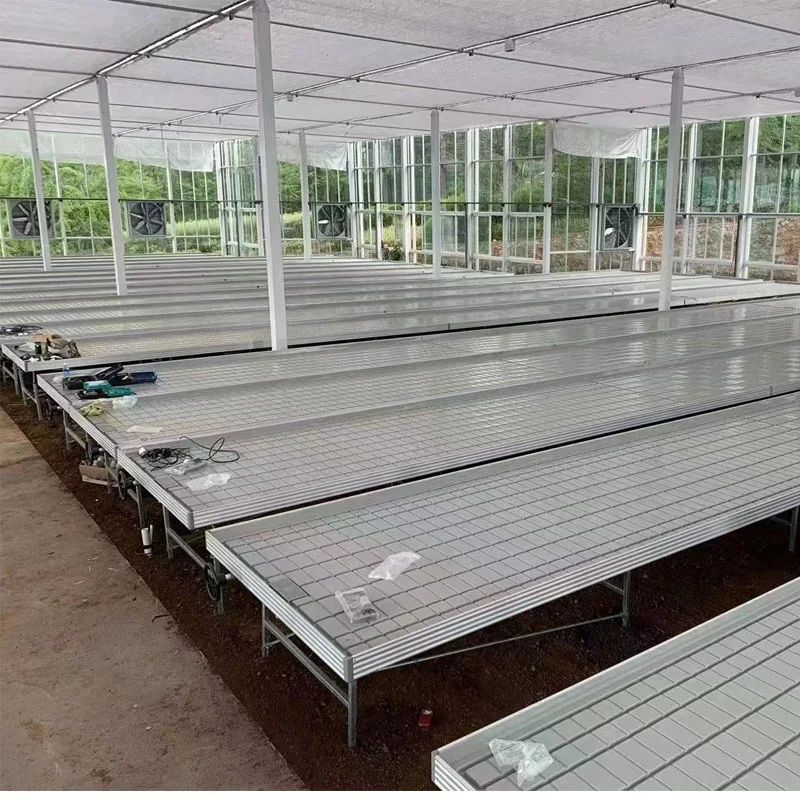 Rolling Irrigation Single Line ABS Plastic Hydroponic Ebb and Flow Tray Custom Mold Agricultural Greenhouse Bench