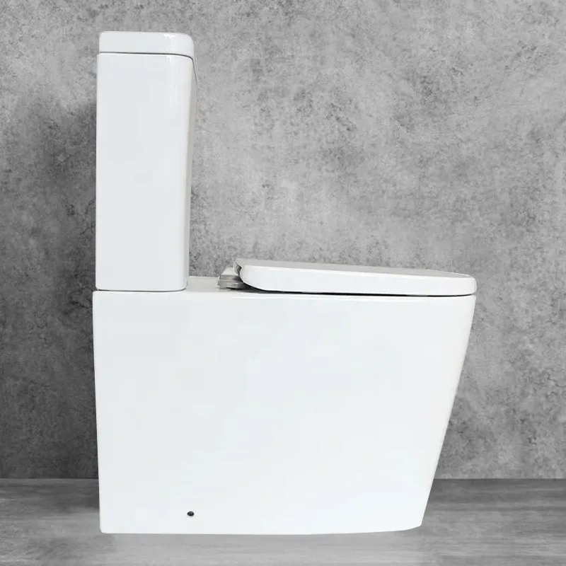 White lavatory toilette wc pan dual flush ceramic floor mounted sanitary ware luxury vanity washroom design toilet and shower