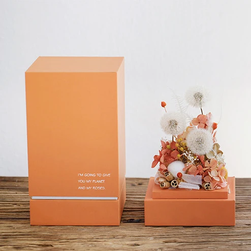 Novelty Design Valentine Gifts Luxury Real Handmade Gift Crafts Eternal Preserved Flower Infinity Rose in Acrylic Box