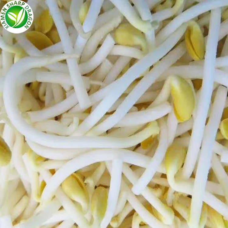 wholesale grade best iqf frozen bean sprout