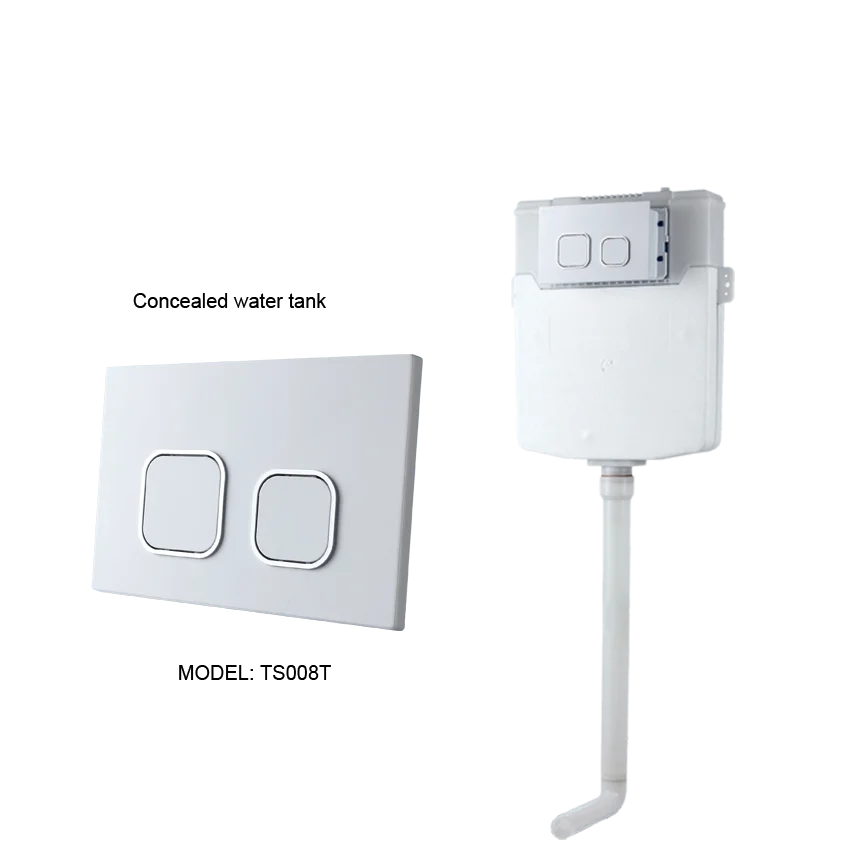 back to wall Toilet Seat bathroom sink hot Sale Luxury Floor Mounted WC Toilets Concealed Cistern