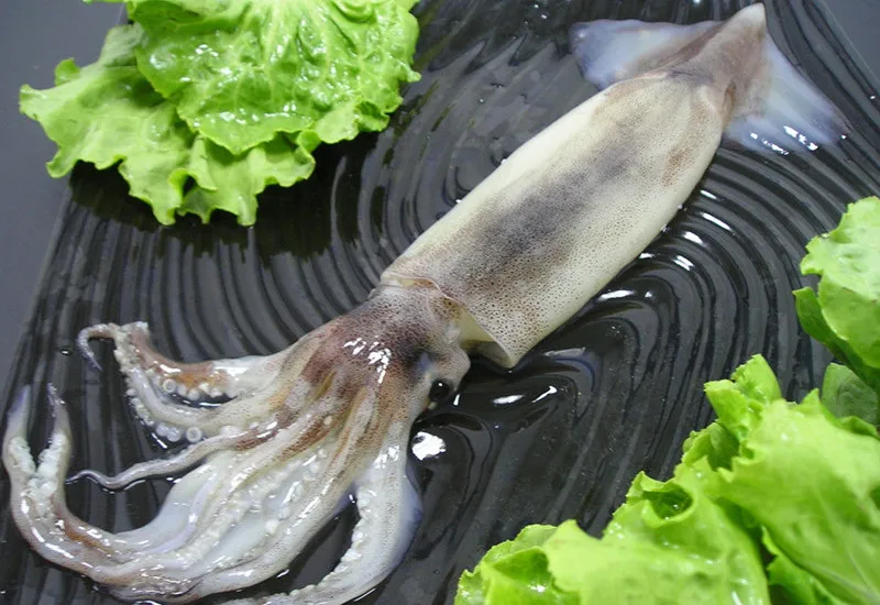  Лучший продавец лучший поставщик морепродуктов высококачественные целые Замороженные клюшки