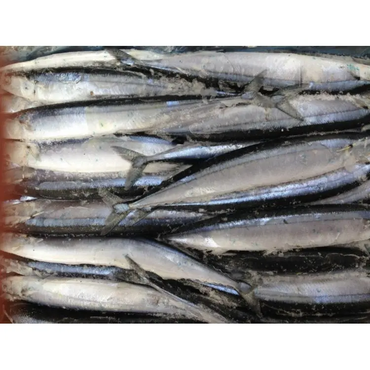 
Promotional High Quality Low Price BQF Frozen Pacific Saury Fish Whole Round for Market Sale 