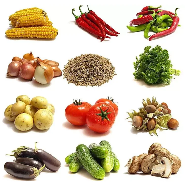 Зеленых бобов стиральная машина со стручками фасоли для очистки