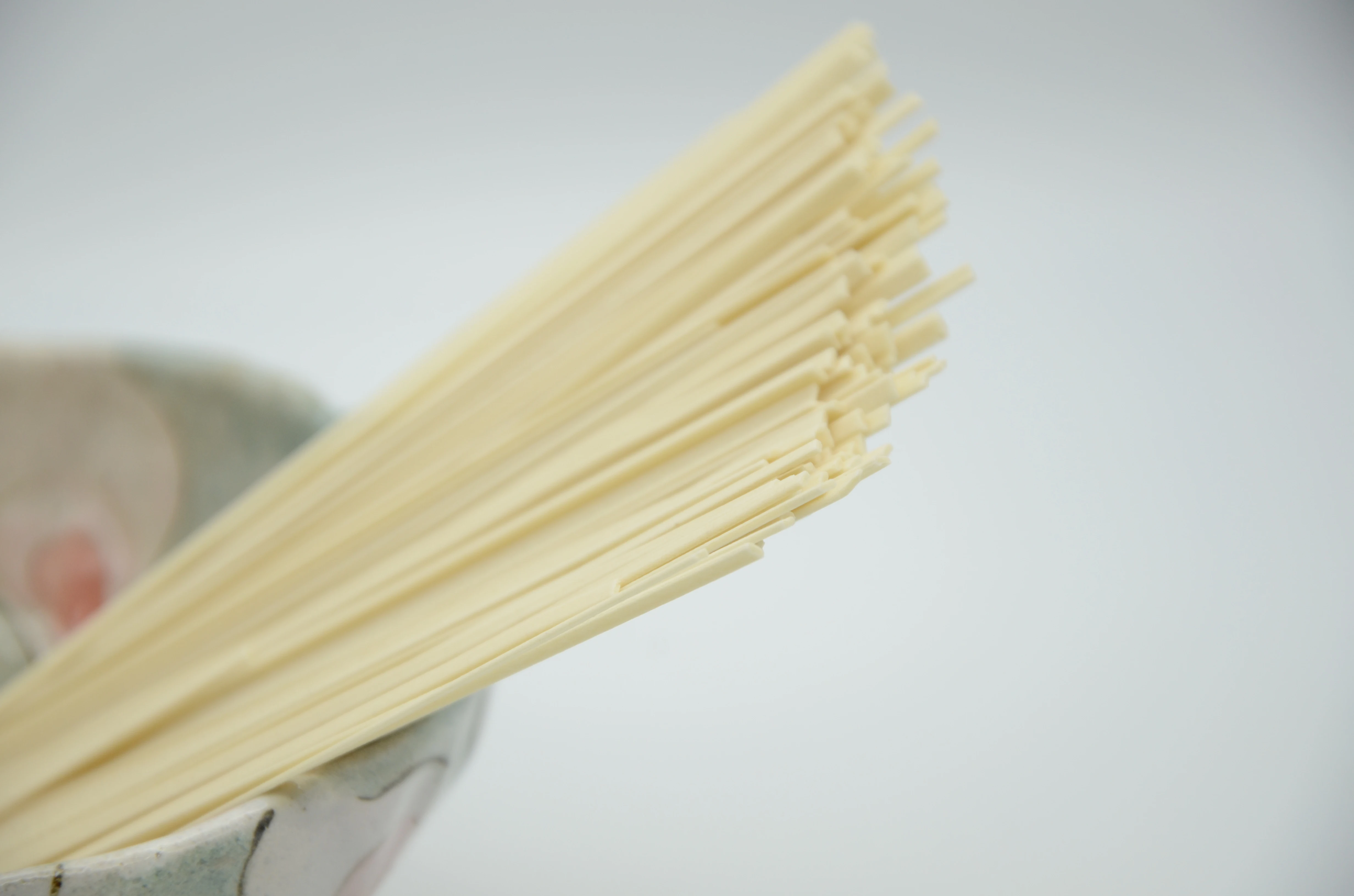 300g dry hot sale soba/udon/ramen/somen/egg noodle