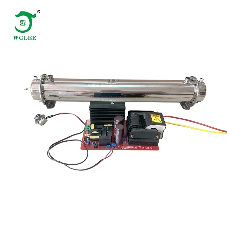 50G/H Ozone Generator Spare Parts For Drinking Water