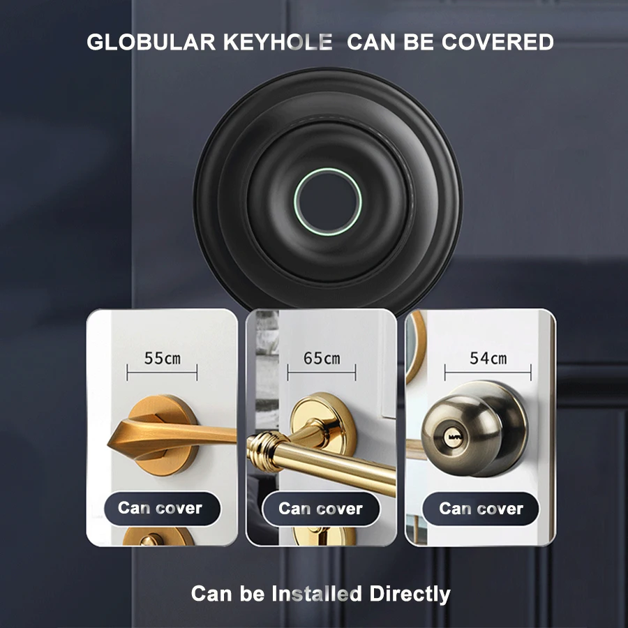 Tuya App Bluetooth Remote Control Black Biometric Fingerprint Intelligent Door Knob Smart Lock with Key For Bedroom