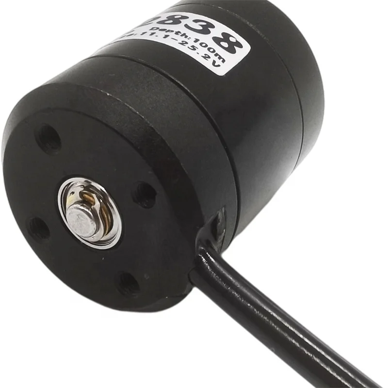 500 кВ 12 В водонепроницаемый бесщеточный двигатель постоянного тока с пропеллером идеально подходит для электрических КАЯКОВ и