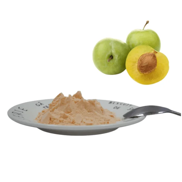 Food Grade Pure China Wholesale Best Price High Quality  Plum Fruit Powder