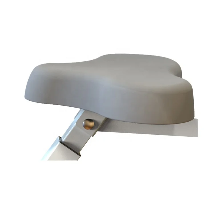 
mate light bee folding carbon wheel magnetic fitness x bike 