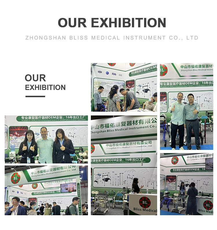 Bliss Medical Folding Aluminium Frame Rollator Walker Lightweight Medical Walker with 2 Wheels and Paade Seat