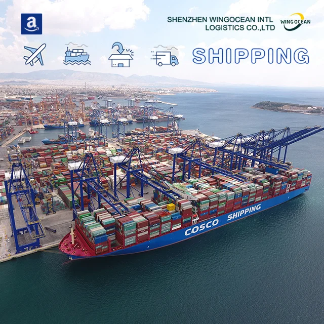 Cheapest logistics agent shipping FBA Door to Door logistics service LCL shipping agent from china to India