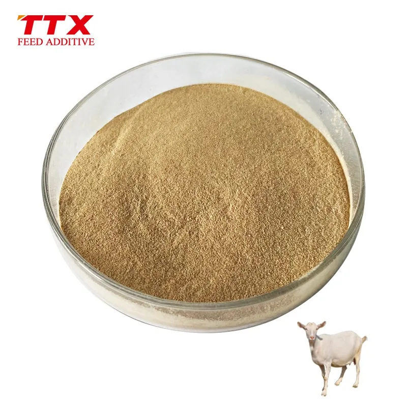 bio enzyme plus protease enzymes alpha amylase