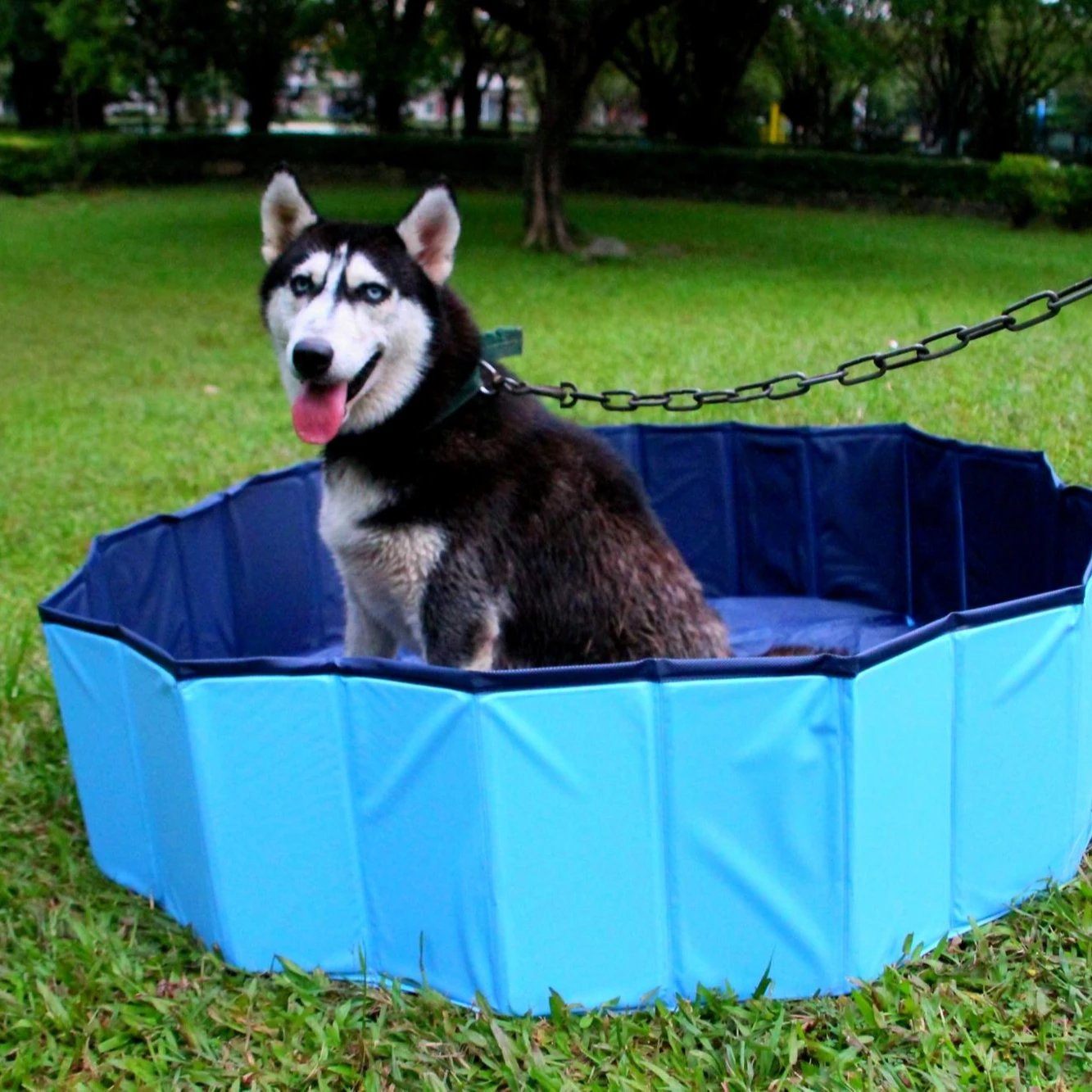 Factory custom high quality PVC home outdoor fun pet bath pool for dog