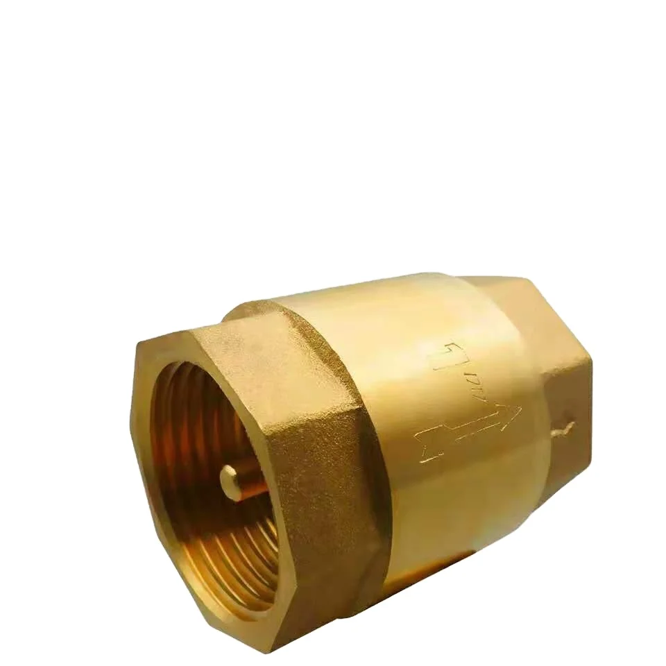 factory directly brass check valve with brass swing-Qiongyu low pressure valve