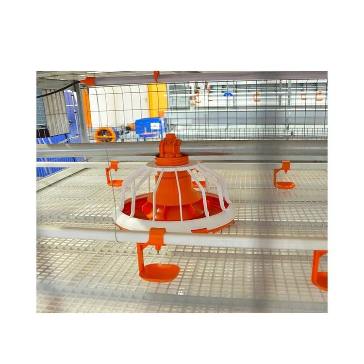 High strength chicken farming broiler cages with automatic harvester equipments for chicken poultry farm