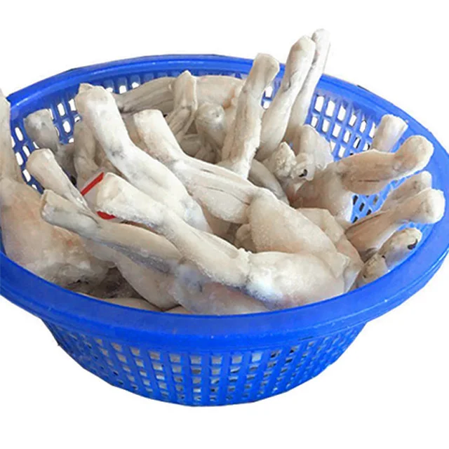 frozen frog & excargot