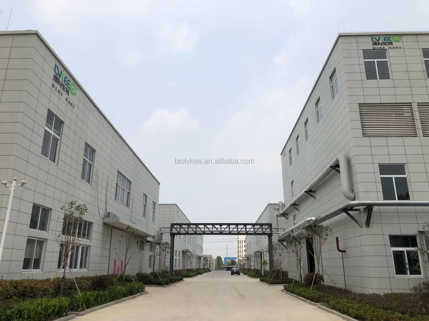 
Lvkee 200BL Premium Feed Additive powder Bacillus Licheniformis 