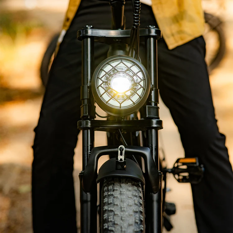 dynavolt lithium battery 48V 20 inch electric bike electric bike 1000W motor cycles