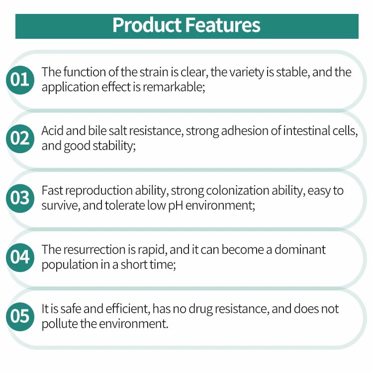 Sciencarin Supply Probiotics Lactobacillus Plantarum