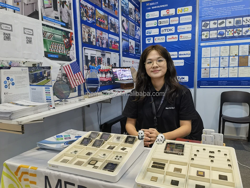 Merrillchip High Quality in stock mosfet Transistors Single FETs MOSFET Electronic components IRFB3006PBF