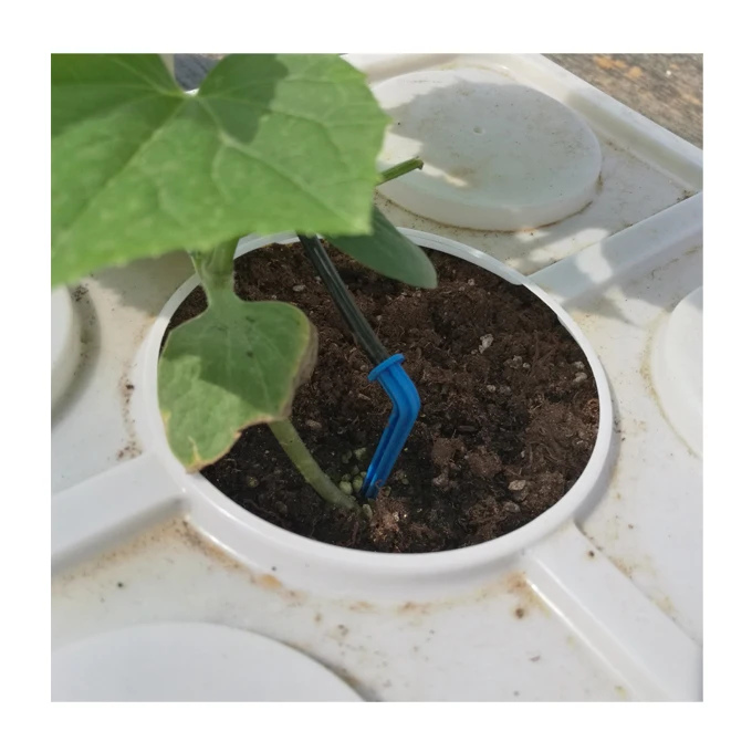 Dutch Buckets Hydroponic System for Cucumber