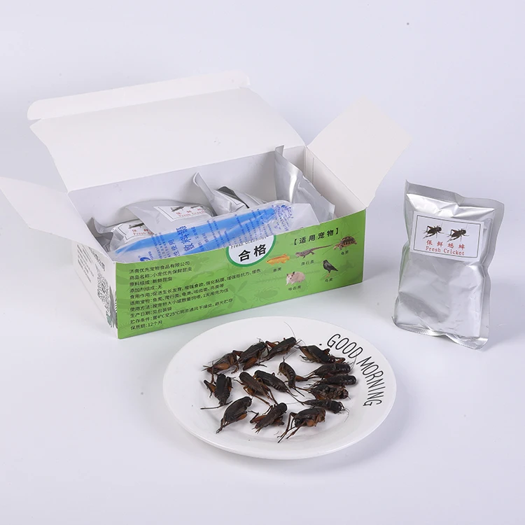 Fresh crickets - Preferred choice for international pet lovers. Nutritious and delicious. Used for feeding a variety of pets.