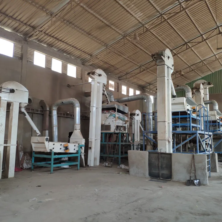 Sesame Destoner Machine cleaners and kidney grain processing machine Soybean Vibration cleaner