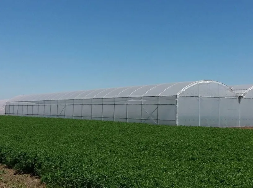 
Good Quality And Easily Installed Agricultural/Commercial Green House Greenhouse 
