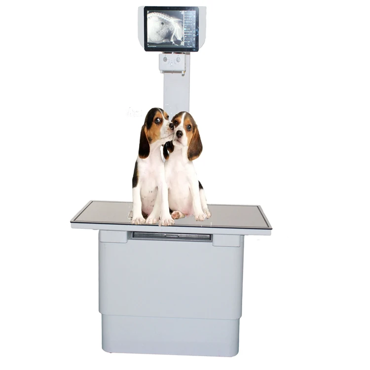 
2020 Yueshen YSX200-YSXVF Veterinary Hospital Pet Clinic Mobile Vet X-ray Machine 
