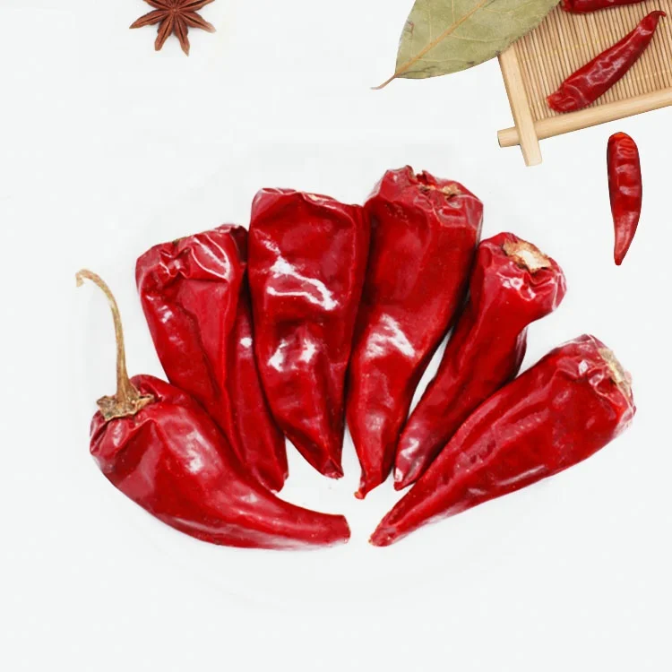 Long size wrinkled less seeds dark red color Dried Red Chilli