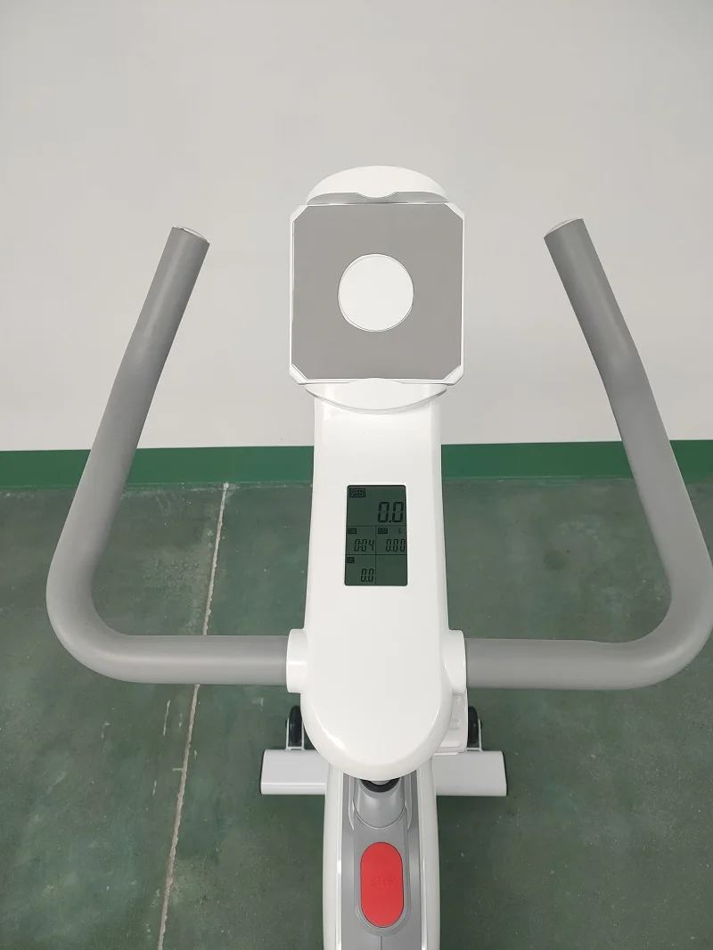 Indoor Spin Bike Exercise Cycling Bicycle Fitness Spinning Bike for Home Gym Cardio