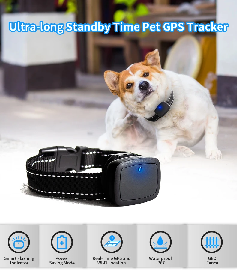 Micro Cat GPS Tracker Mini Small Smart Device for Dogs 4G Smart Locator Pet Gps Tracker Locator