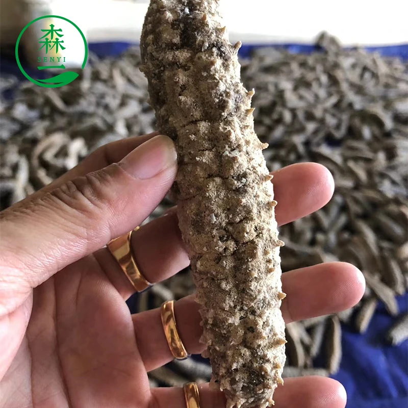 March Expo Promotion Top Seafoods in Wholesale Price 100% Natural Organic Dry Sea Cucumber