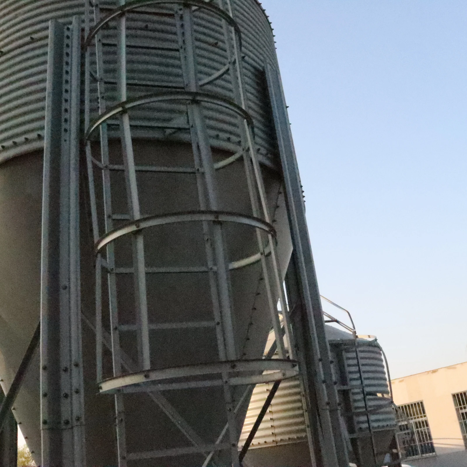 Pig Farm Galvanized Material Tower Complete Set of Equipment for Pig Farming
