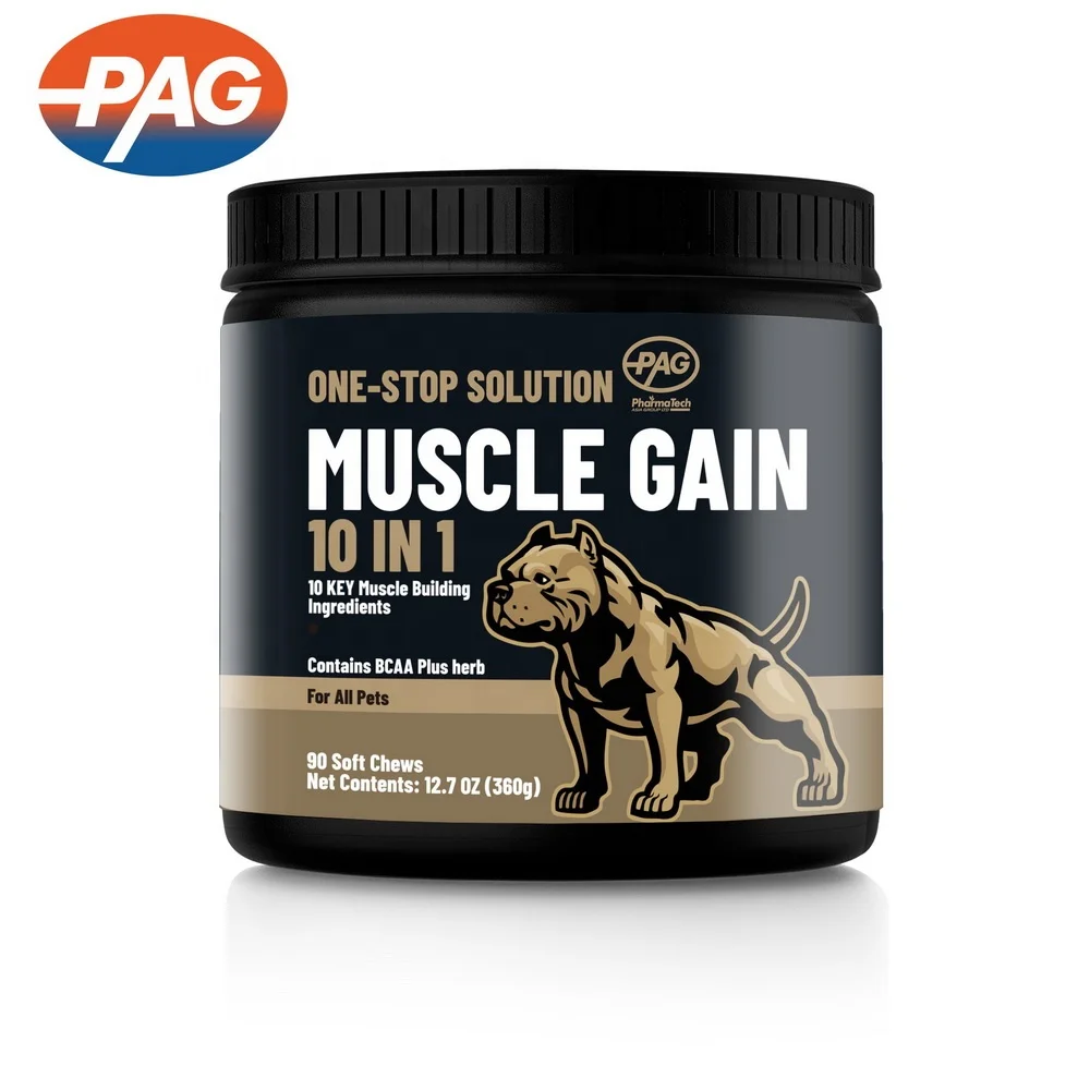 High Protein 10-In-1 Pets Food Supplement Delicious Flavor Chew Bites Pet Care Dog Muscles Builder Supplement For Racing Dogs