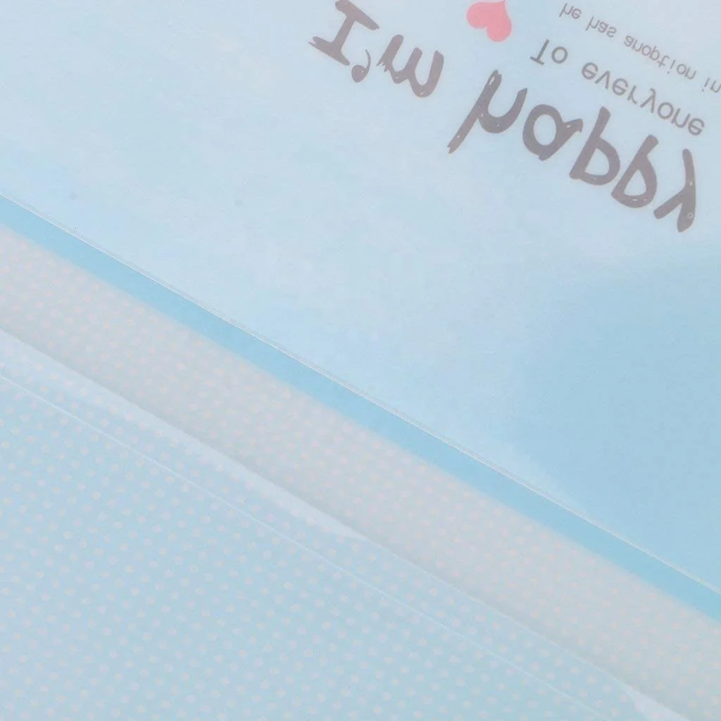 File Bag PP/PVC Folder 2 Pack A4 Envelope Document Storage Pouch Organizer for Office Business