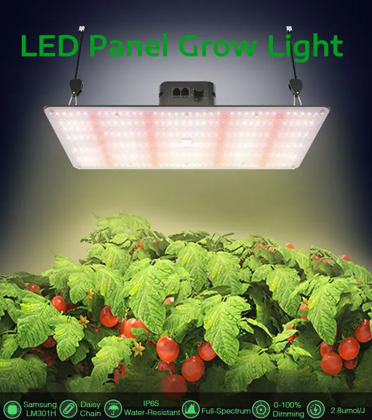TUBU daisy chain bloom booster red led grow lights indoor 240w quantum grow lights