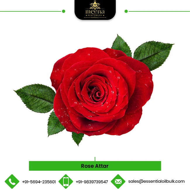 
100% Natural Bulk Sandalwood Based Rose Attar from Trusted Exporter 