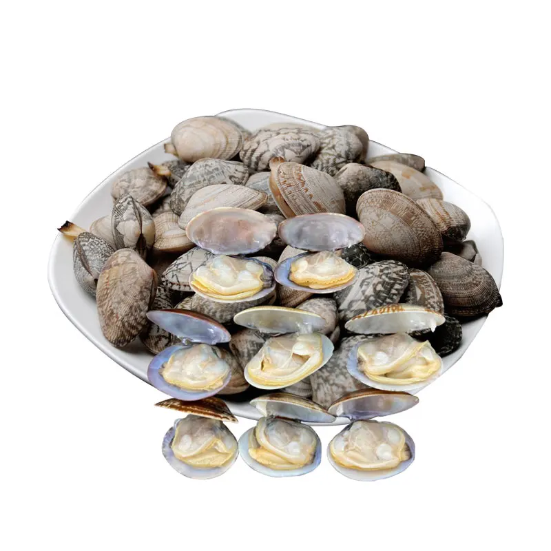 Frozen vacuum packaging precooked clam shell Oil Clam