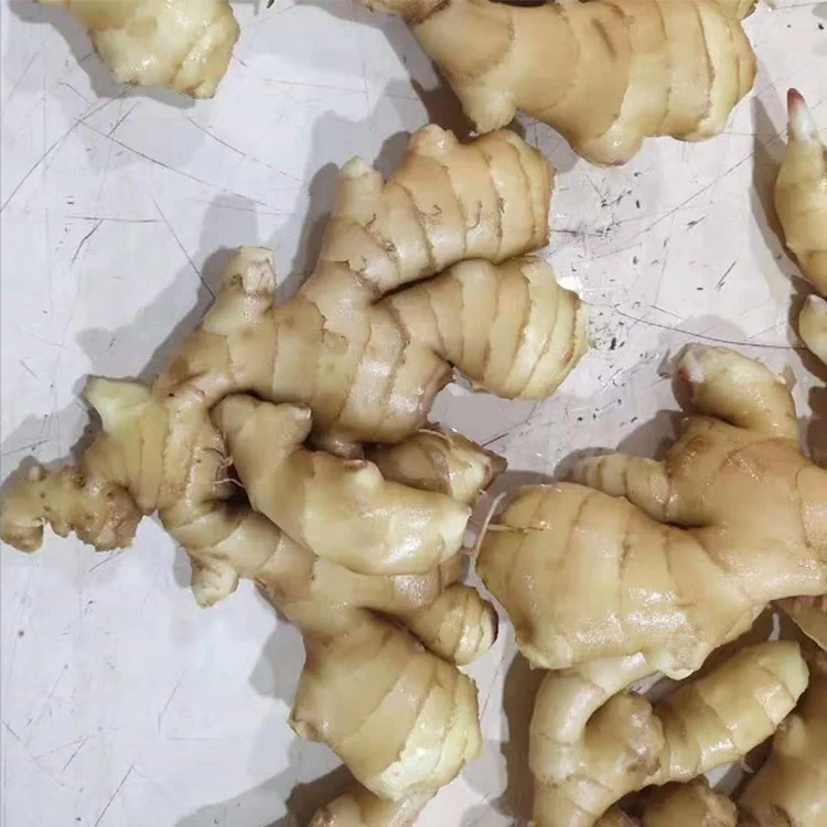 air dry  ginger export to Holland fresh ginger to USA UK UAE middle east