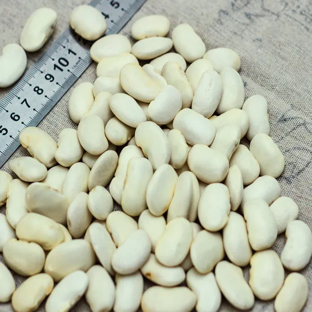 
large Yunnan 2020 crop dried white kidney beans 